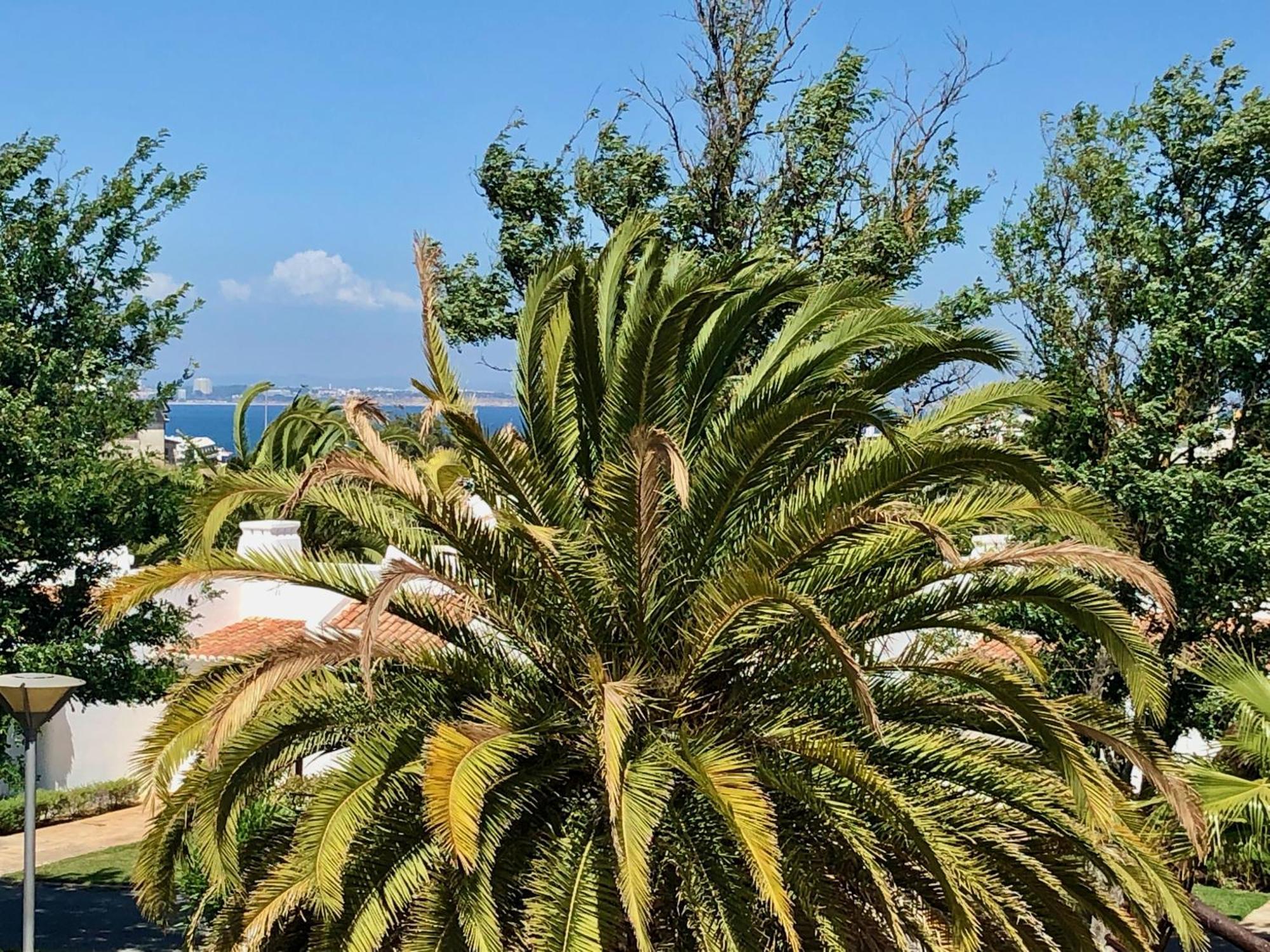 לאגוּ‏ש Ancora Boutique Apartments מראה חיצוני תמונה